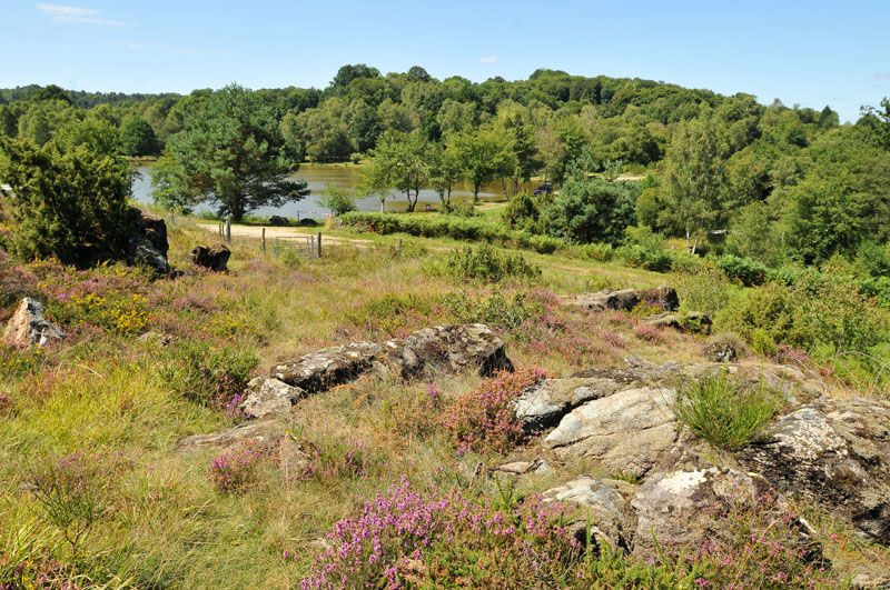 Chemin des Hêtres, Cieux - photo 5