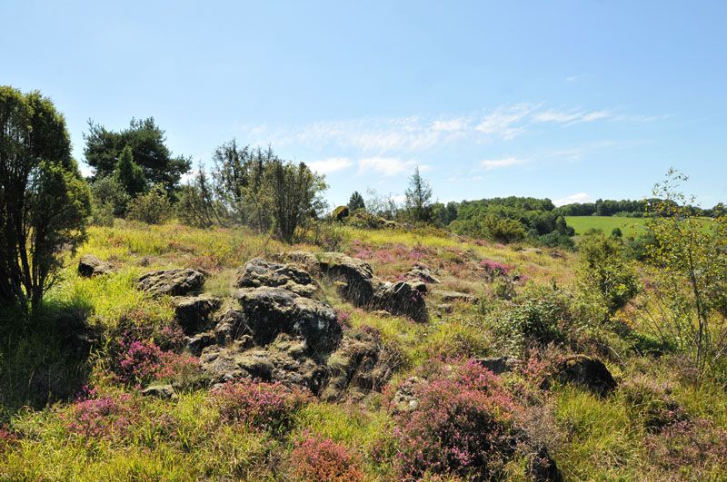 Chemin des Hêtres, Cieux - photo 3