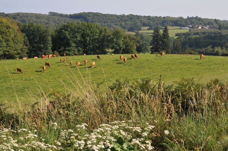 Boucle du kaolin, Coussac-Bonneval - photo 5