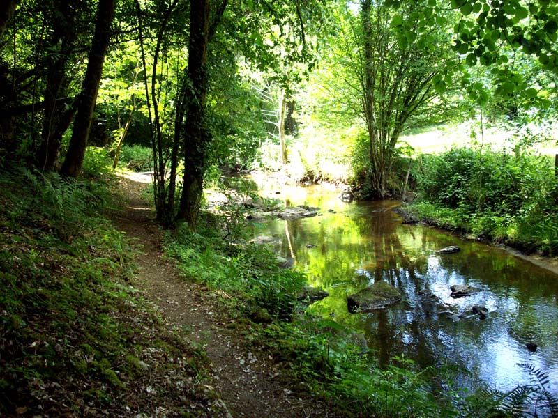 Circuit de l'oratoire du Couret, Dompierre-les-Églises - photo 2