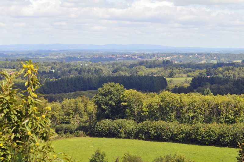 Chemin des hautes forêts, Marval - photo 3