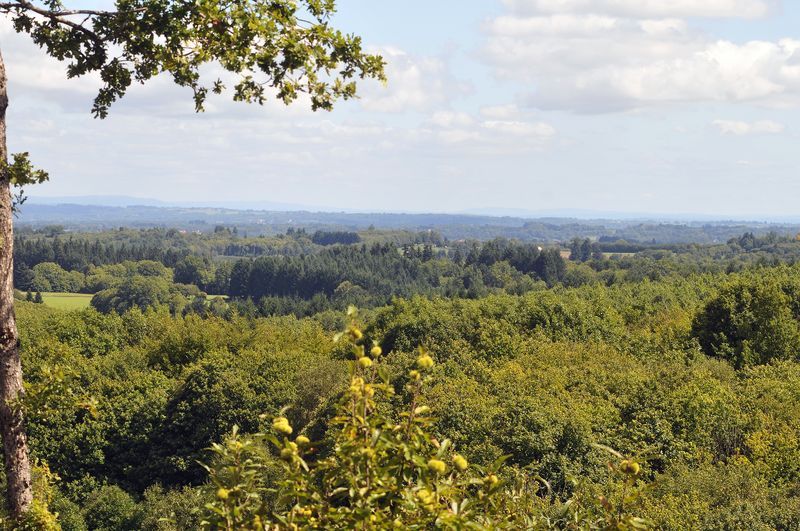 Chemin des hautes forêts, Marval