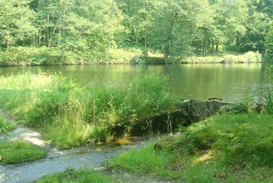 Chemin des étangs, Marval - photo 2