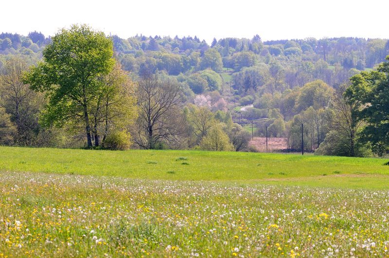 Circuit de César, Meuzac - photo 4