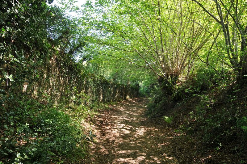 Sentier des forges et des moulins, Meuzac