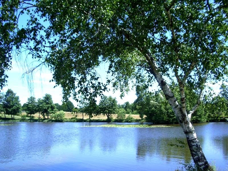 Sentier des forges et des moulins, Meuzac - photo 4