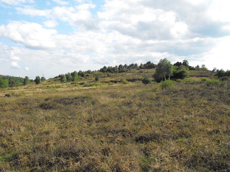 Sentier lacs et forêts, Meuzac - photo 2