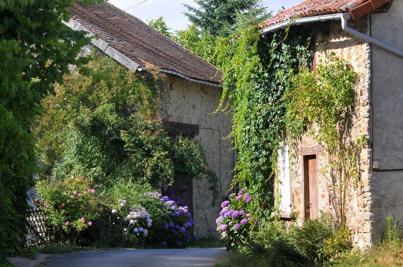 Sentier aux sources de la Gorre, Pageas - photo 4