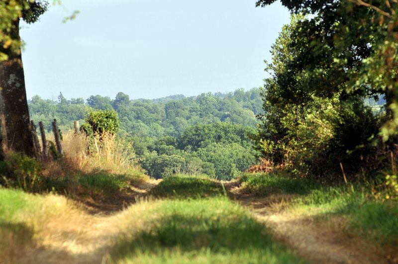 Sentier des templiers et des hospitaliers, Pageas - photo 2