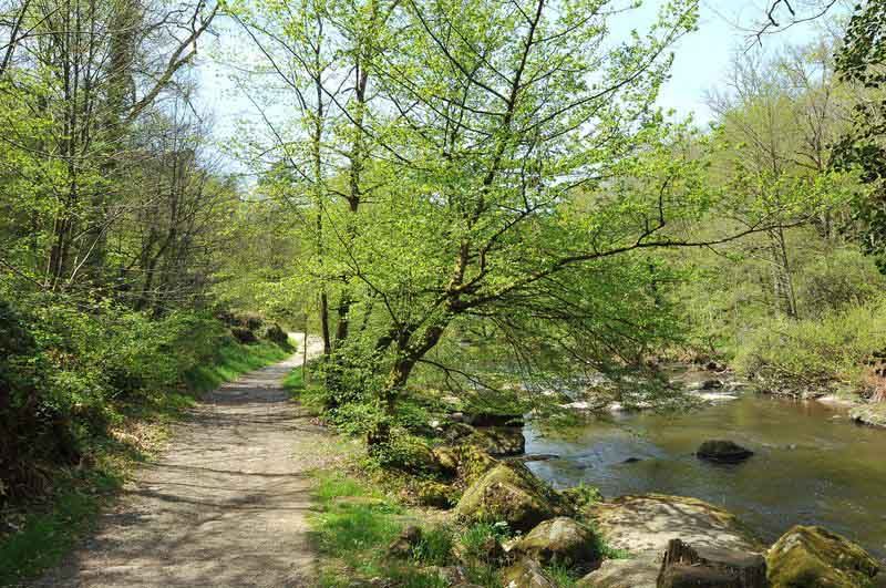 Sentier des Feutrières — photo 3