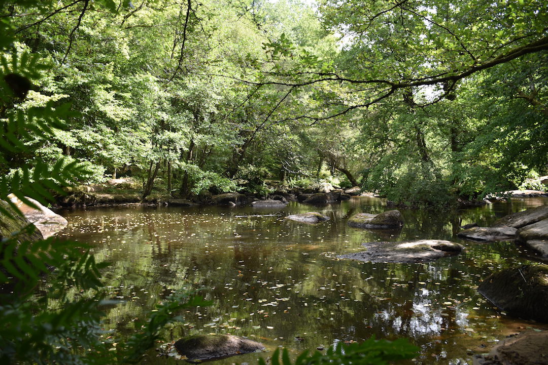 Sentier des Feutrières