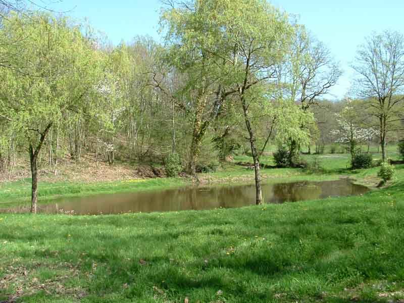 Circuit Les Ramiers - les Millefeuilles, Saint-Sulpice-les-Feuilles - photo 2