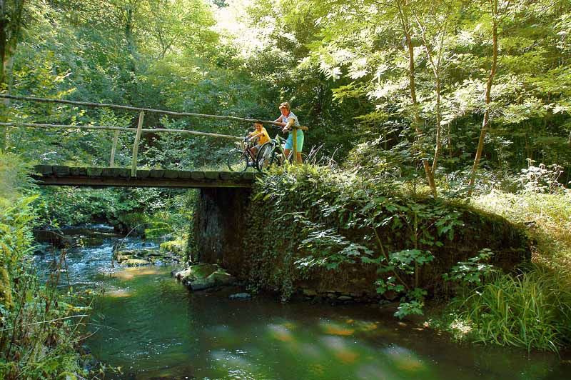 Circuit des mines d'or de la forêt de Champ Vert, Saint-Vitte-sur-Briance - photo 3