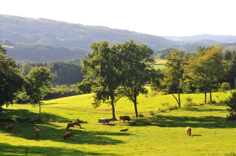 Circuit de Bonneval, Sussac - photo 2