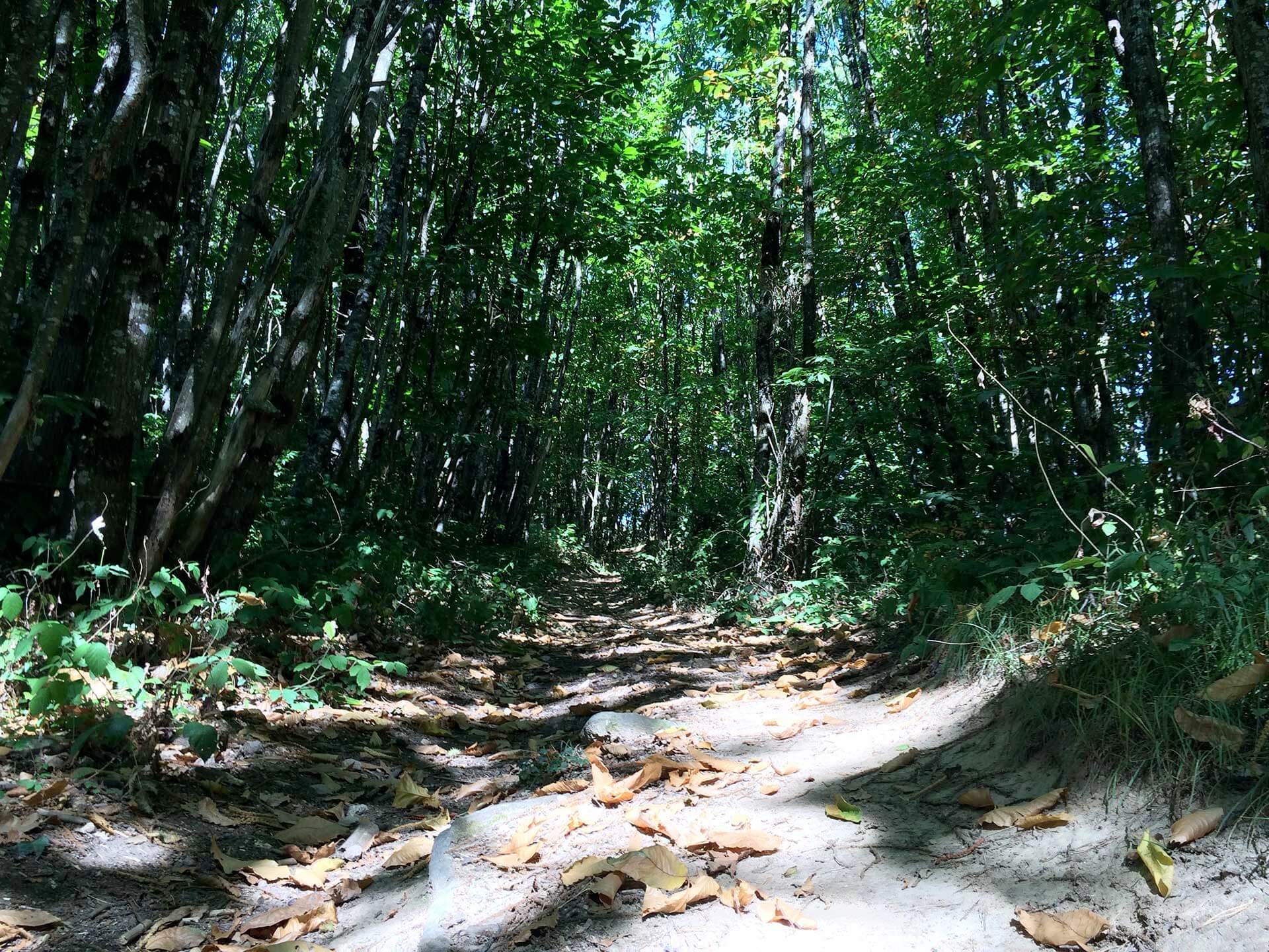 Sentier des Demoiselles, Bussière-Galant - photo 12