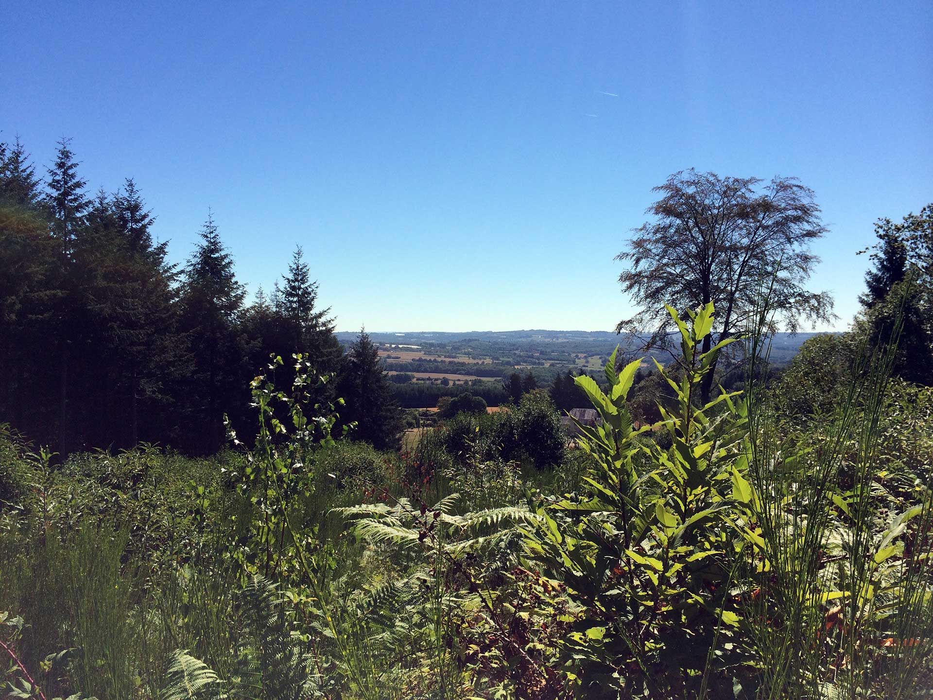 Sentier des Demoiselles, Bussière-Galant - photo 8