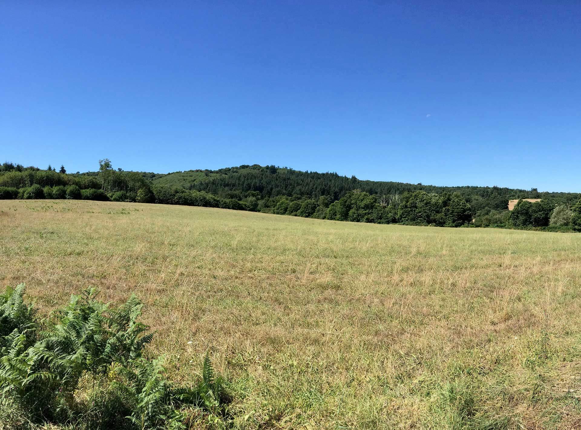 Sentier des Demoiselles, Bussière-Galant - photo 7
