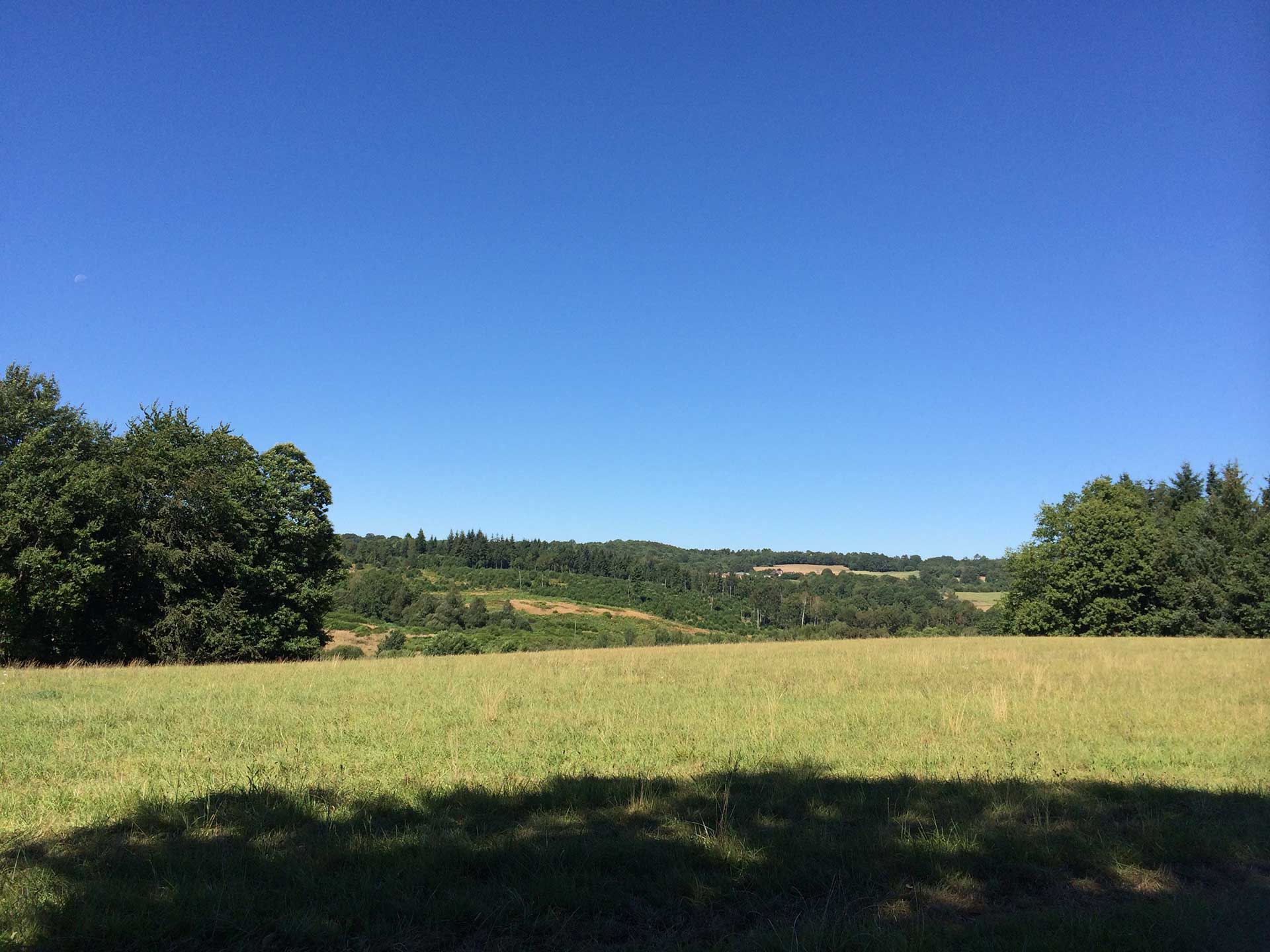 Sentier des Demoiselles, Bussière-Galant - photo 5