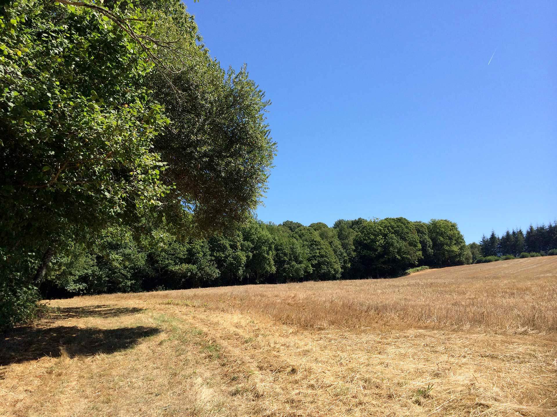 Sentier des Demoiselles, Bussière-Galant - photo 13