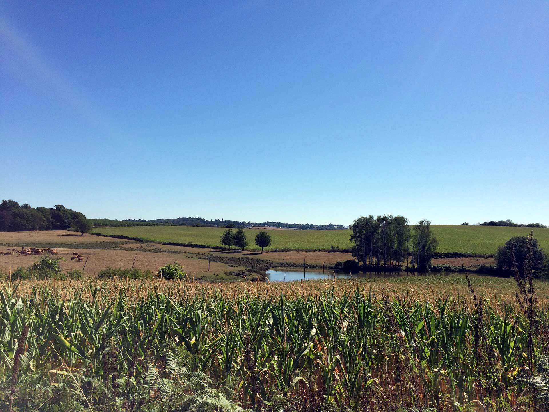 Sentier des Demoiselles, Bussière-Galant - photo 11