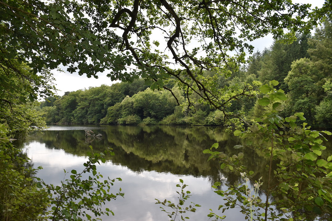 Sentier des étangs, Saint-Gence - photo 3