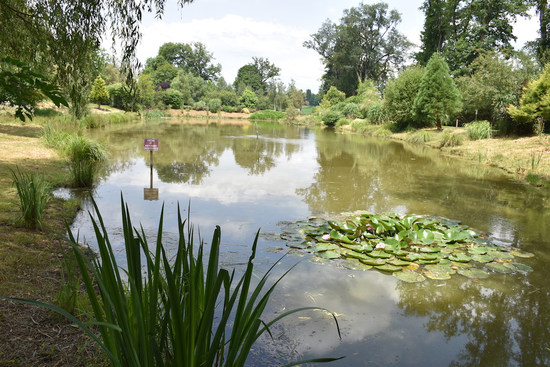 Sentier des étangs, Saint-Gence - photo 4