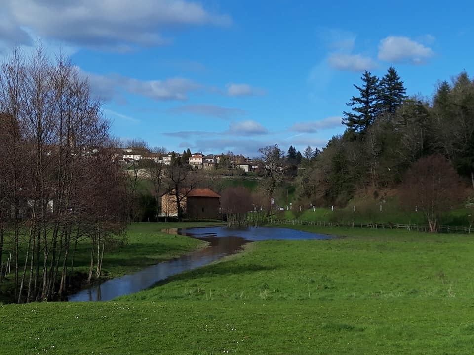 Plan d'eau de Boischenu - photo 4