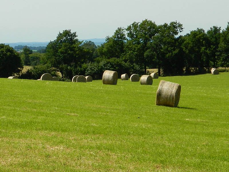 Chemin des écoliers, Jourgnac - photo 2