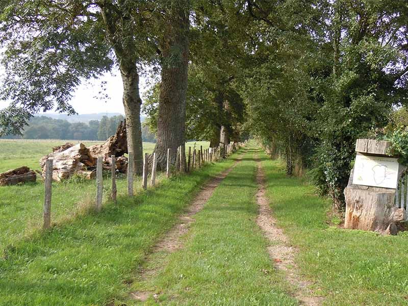 Chemin des écoliers, Jourgnac - photo 4