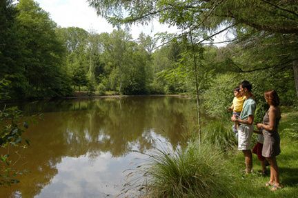 Circuit des étangs, Saint-Cyr - photo 2