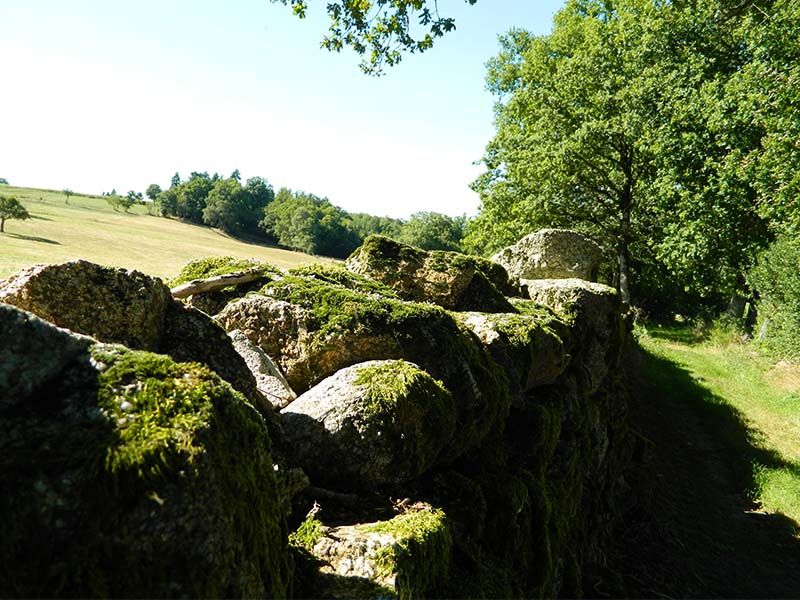Entre coteaux et vallées, Sainte-Marie-de-Vaux - photo 2