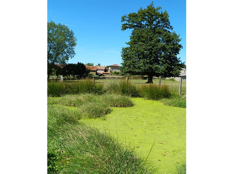 Entre coteaux et vallées, Sainte-Marie-de-Vaux