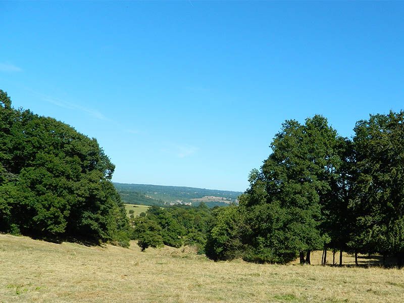Entre coteaux et vallées, Sainte-Marie-de-Vaux - photo 4
