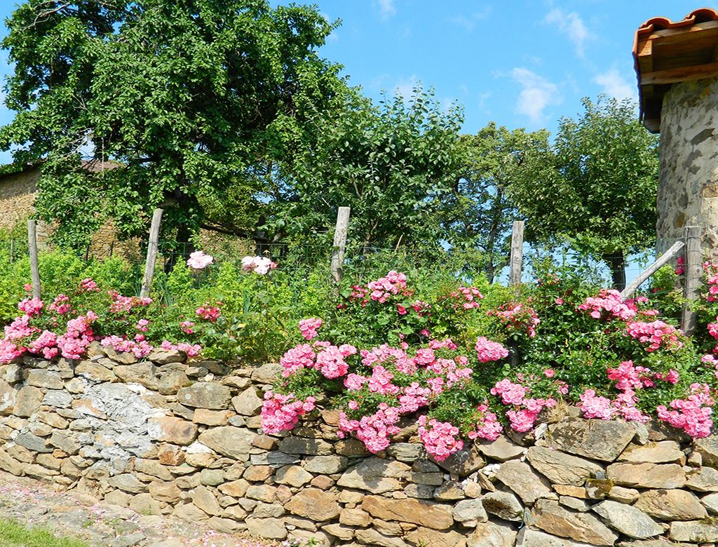 Sentier du dolmen, Saint-Laurent-sur-Gorre - photo 4