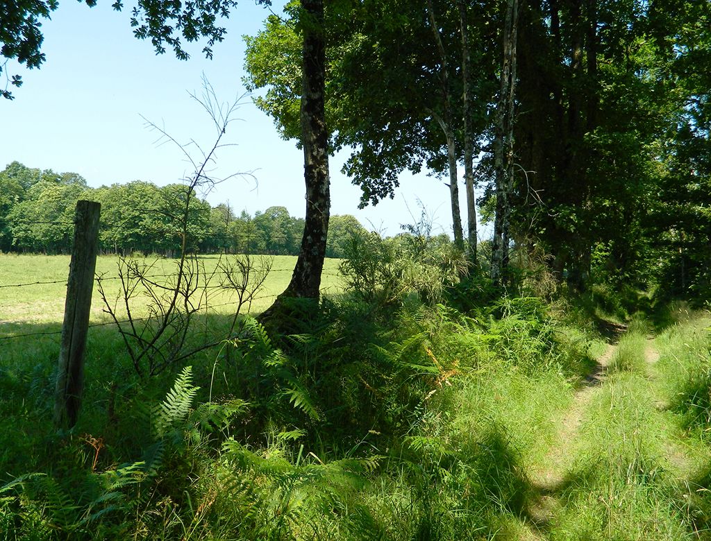 Sentier du dolmen, Saint-Laurent-sur-Gorre - photo 3