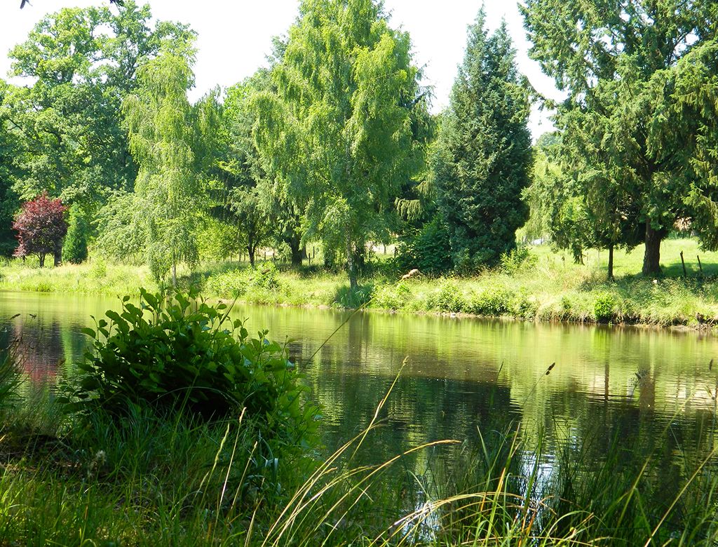 Sentier du dolmen, Saint-Laurent-sur-Gorre - photo 2
