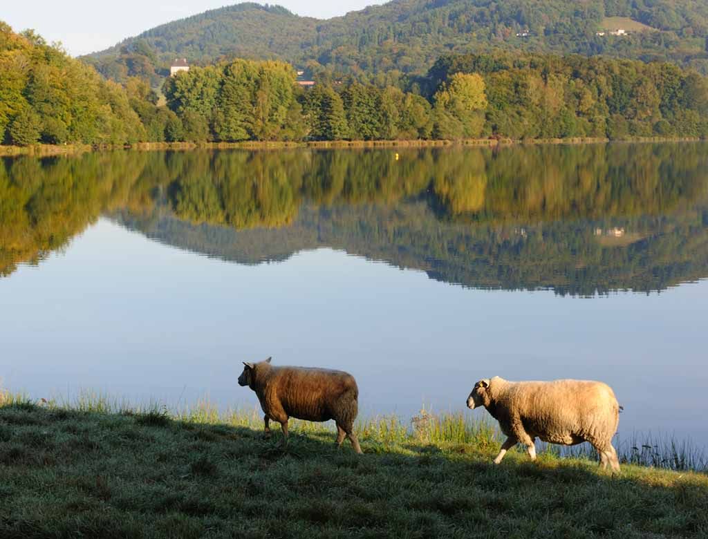 Boucle de Bourdelas et de Jonas - photo 2