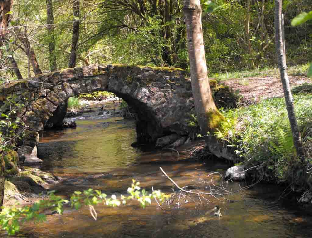 Circuit Des Bords d'Auzette