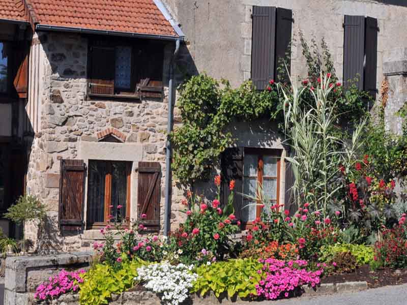 Sentier de Gascour, Boisseuil - photo 3