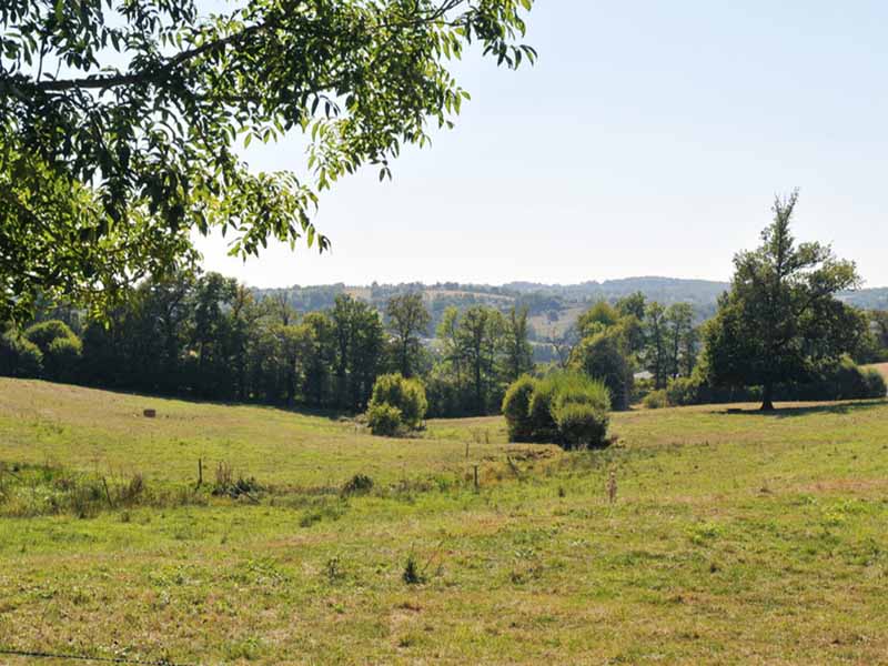Sentier de Gascour, Boisseuil