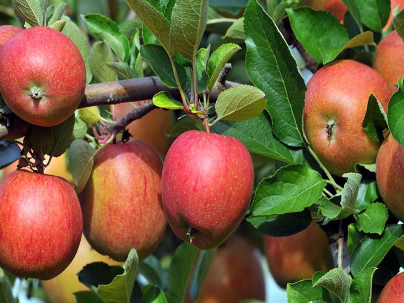 Sentier des Pêcheries Oubliées, Eyjeaux - photo 3