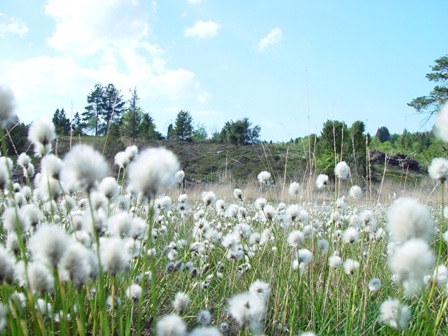 Chemin des kaoliniers, La Jonchère-Saint-Maurice - photo 7