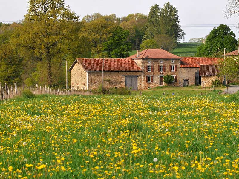 Sentier de l'aubépine, Saint-Laurent-sur-Gorre - photo 4