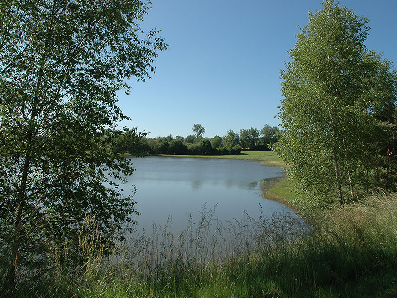 Sentier de l'aubépine, Saint-Laurent-sur-Gorre