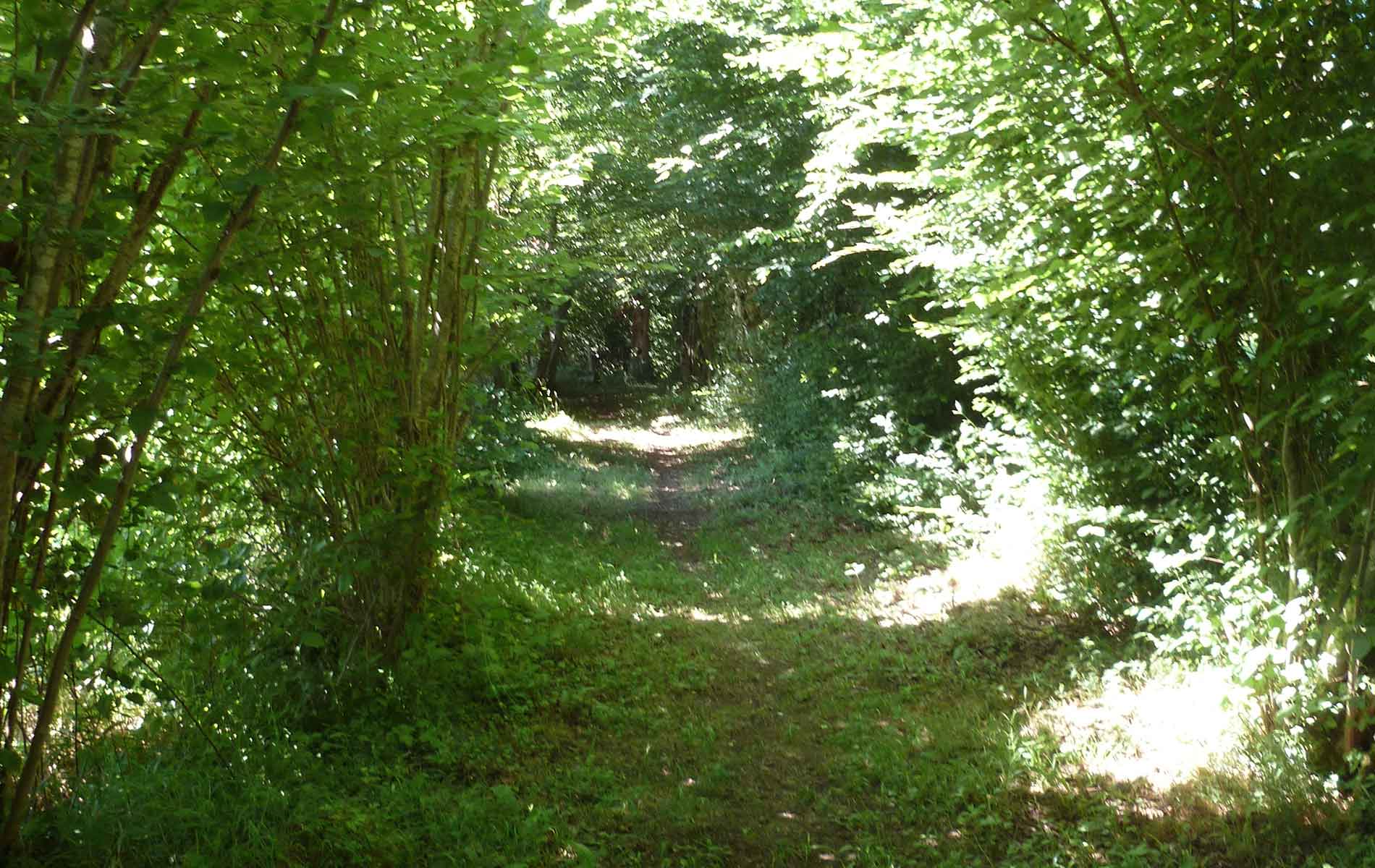 Les sentiers de Meilhac, Meilhac - photo 2