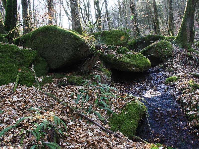 Compreignac Le tour de bourg, Compreignac - photo 2