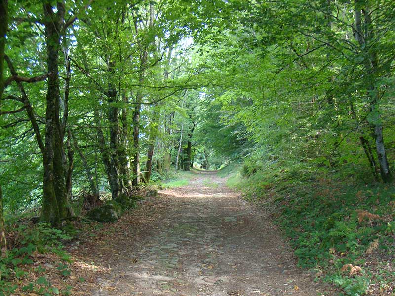 Chemin des seigneurs — photo 2