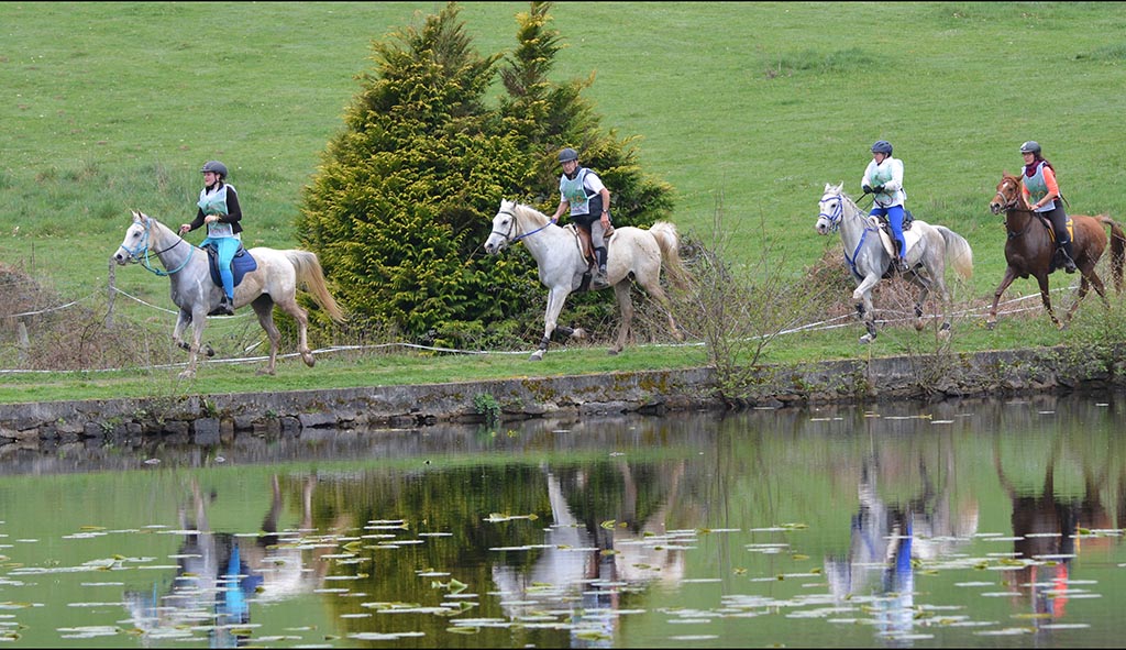 Sentier des carrières, Nexon