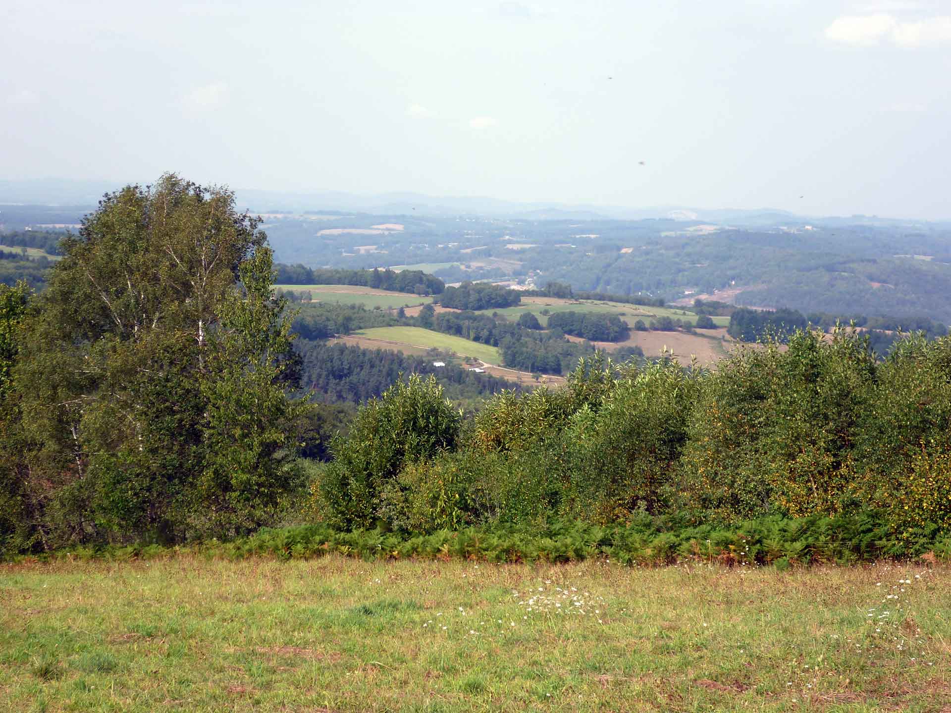 Chemin de Sussac au Mont Gargan, Sussac - photo 3
