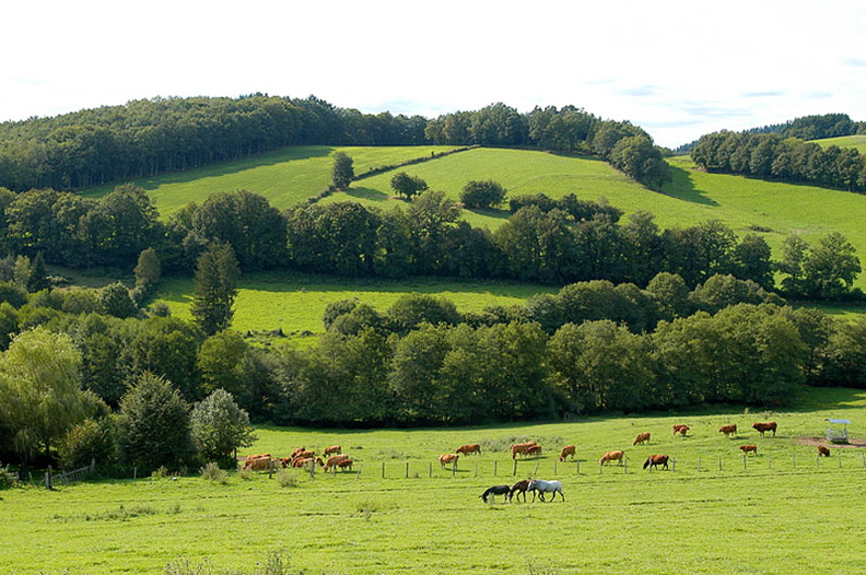 Sentier des gorges de la Vienne, Eymoutiers